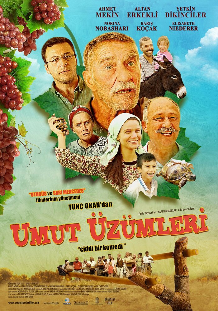 Umut üzümleri (2013)